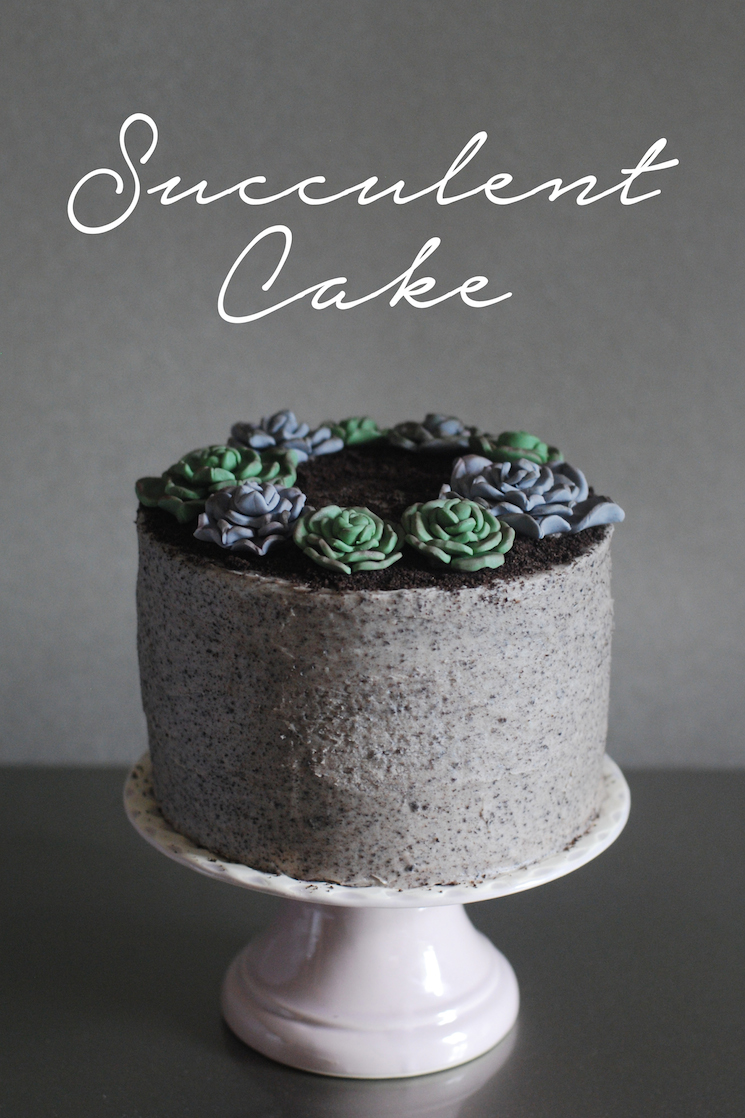 Succulent_cake