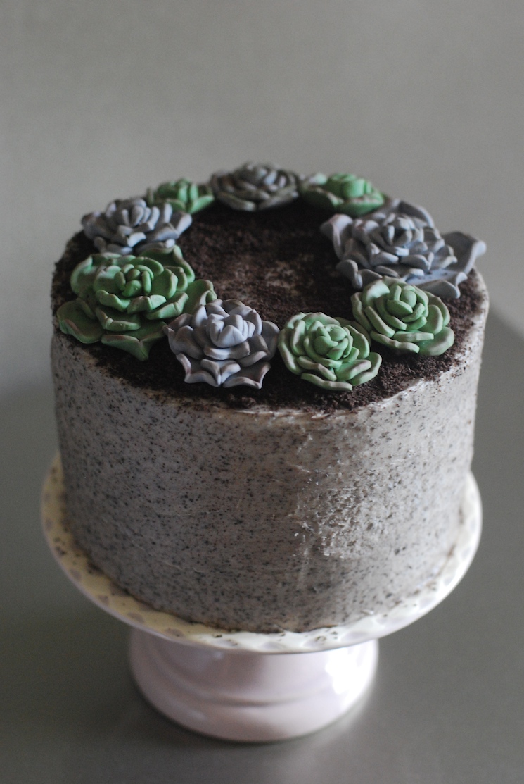 Succulent_cake_afternoon_crumbs_2