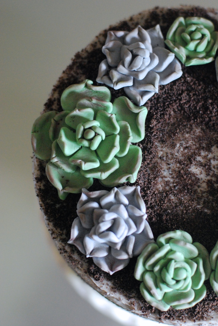 Succulent_cake_afternoon_crumbs_3