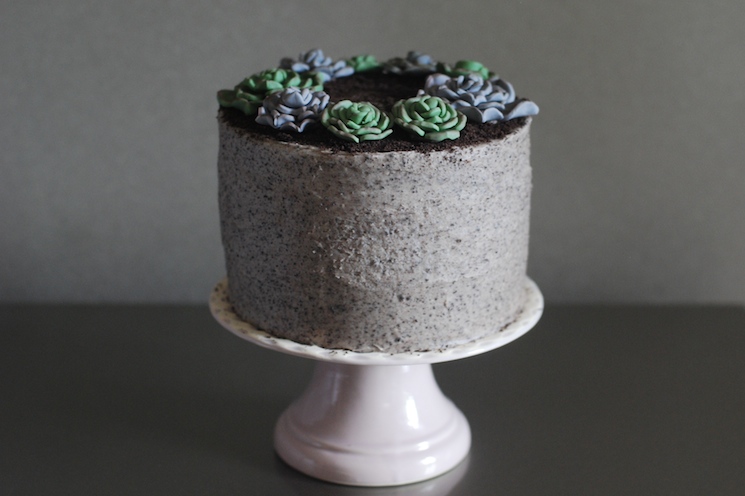 Succulent_cake_afternoon_crumbs_4