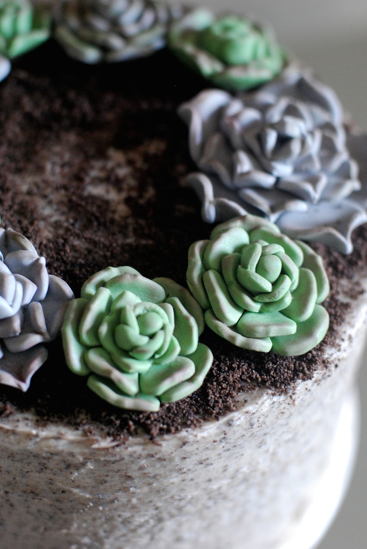 Succulent_cake_afternoon_crumbs_6